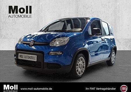 Fiat Panda Mild Hybrid City Paket Bi-colore Blau/Dach Schwarz