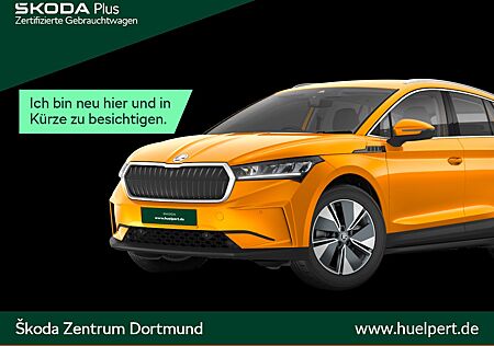 Skoda Karoq 2.0 TOUR PANO AHK CAM LED LM17 NAVI DAB+