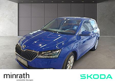 Skoda Fabia 1.0 TSI Clever ACC PDC CarPlay Klima Sitzh