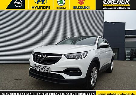 Opel Grandland X Turbo Edition Klima/LED/DAB/PDC/LM