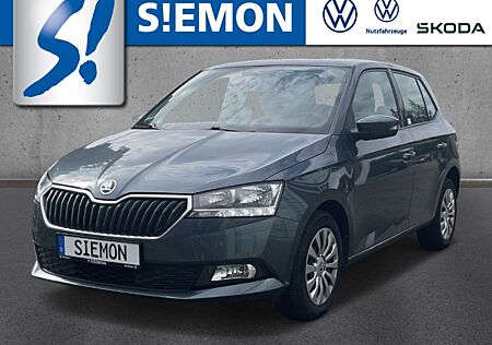 Skoda Fabia Ambition 1.0 TSI PDC SHZ LM17