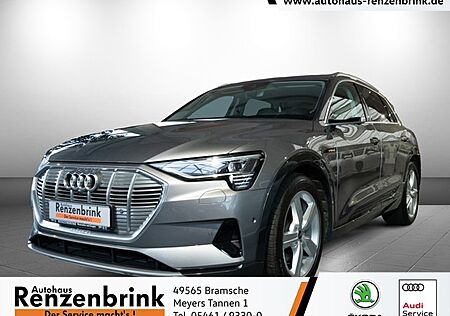 Audi e-tron 50 quattro advanced HEAD-UP*360°*AHK*MATRIX