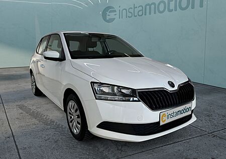 Skoda Fabia Active 1.0 MPI Klima Freisprech PDC MFL