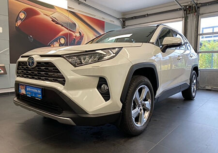 Toyota RAV 4 2.5 L Hybrid 4x2 Team Deutschland