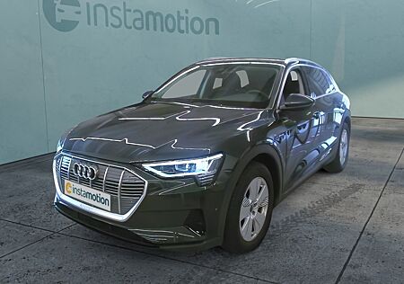 Audi e-tron 55 Sportsitze/Leder/ACC Tour+Stadt/19 Zol