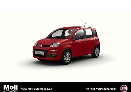 Fiat Panda Mild Hybrid City Paket Passione Rot