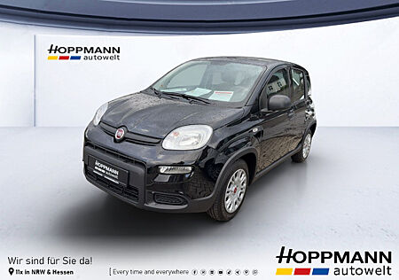 Fiat Panda Base