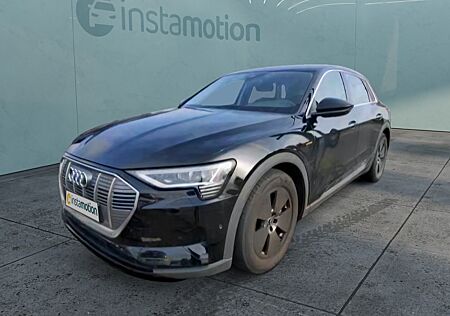 Audi e-tron 50 Q AHK KAMERA LED LM19