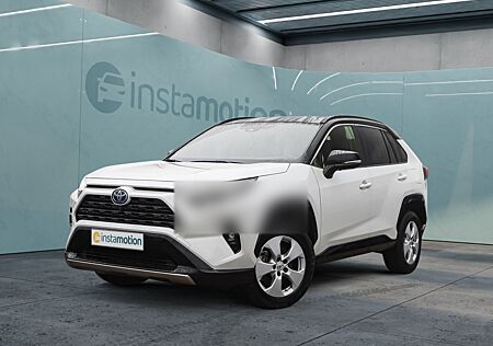 Toyota RAV 4 2.5 Hybrid Style Selection 4x4 NAVI SHZ PD