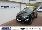 Ford EcoSport 1.0 EcoBoost EU6d-T (CR6)(2017- ) ST-Line Winterpaket