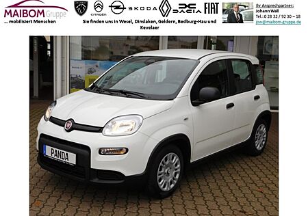 Fiat Panda 1.0 GSE Sonder-Aktion