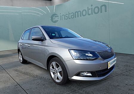 Skoda Fabia 1.0 TSI 110 Style Nav Kam PDC SmartLi Temp