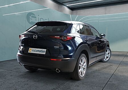 Mazda CX-30 G 140 Exclusive-Line NAVI BT SHZ Kamera