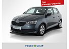 Skoda Fabia 1.0 Cool Plus Klima Sitzhiezung DAB