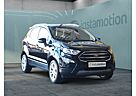 Ford EcoSport Titanium Kamera Lenkradheizung DAB