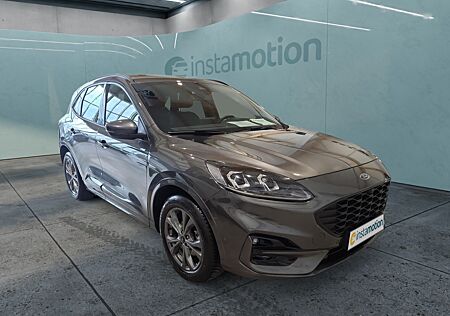 Ford Kuga ST-Line leichter Hagelschaden Bluetooth Navi