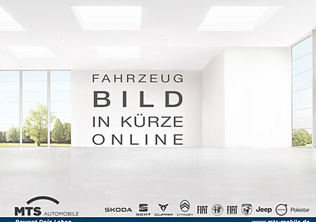 Fiat Doblo Cargo SX Kasten 1.6 Multijet EU6d-T Navi DAB SHZ Rückfahrkam. Temp Tel.-Vorb.