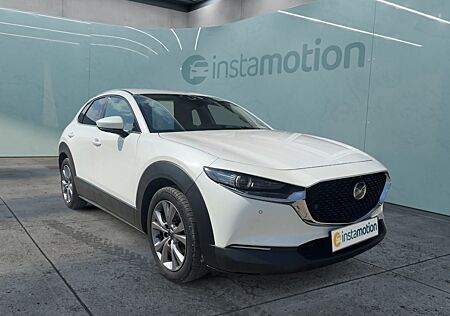 Mazda CX-30 2.0 Selektion *BOSE* ABS Fahrerairbag Beif