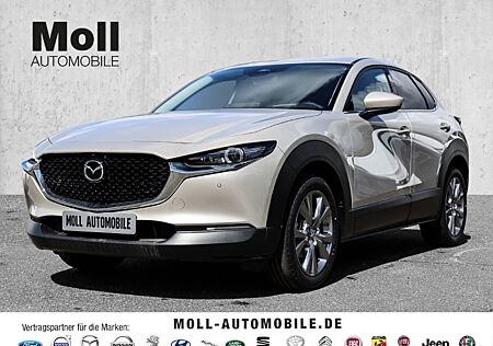 Mazda CX-30 e-SKYACTIV G 150PS 6MT FWD Exclusive DES-P DRA-P Leder