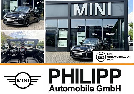 Mini Cooper Cabrio Sportsitz Kamera LenkrHzg LED DA PA