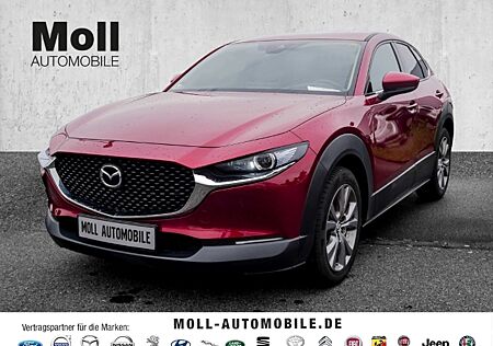 Mazda CX-30 SKYACTIV-G 150PS M-Hybrid 6GS SELECTION DES-P PRE-P