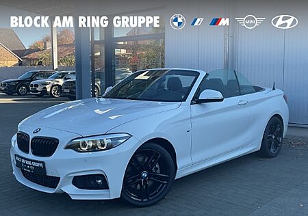 BMW 230i Cabrio M Sport HiFi Navi PDC DAB