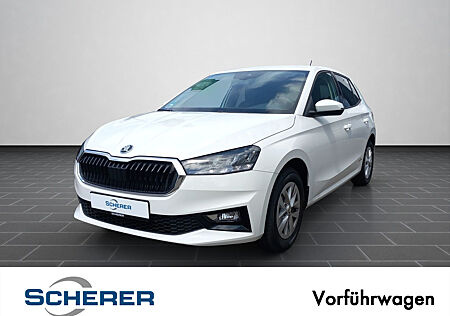 Skoda Fabia Selection 1,0 TSI Smartlink Leichtmetallfelgen PDC hinten LED Scheinerfer