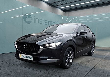 Mazda CX-30 Selection 137KW M-m-Paket El. Panodach Leder HUD Navi BOSE