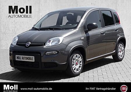 Fiat Panda Hybrid Tech Paket, Radio, Klima., Multifunktion