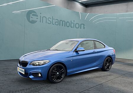 BMW 218d M Sport|NAVI|TEMPOMAT|SITZHZG|EINPARKHILFE