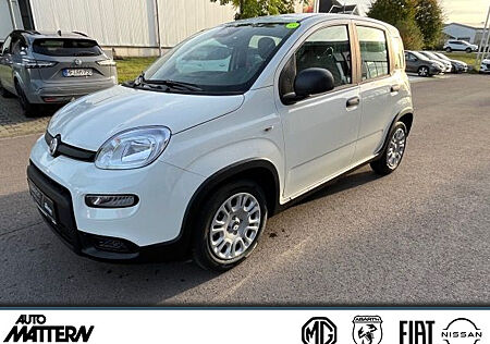 Fiat Panda City Paket // Parksensoren hinten