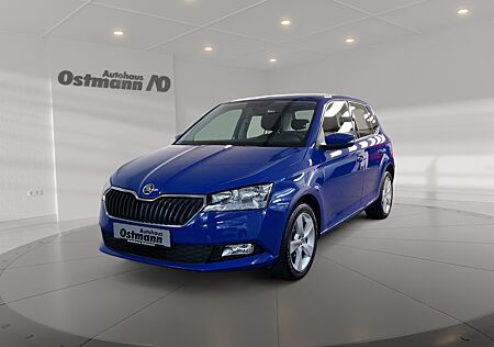 Skoda Fabia 1.0 MPI Cool Plus LM PDC SHZ Klimaanlage