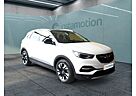 Opel Grandland X Ultimate Leder Kamera DAB