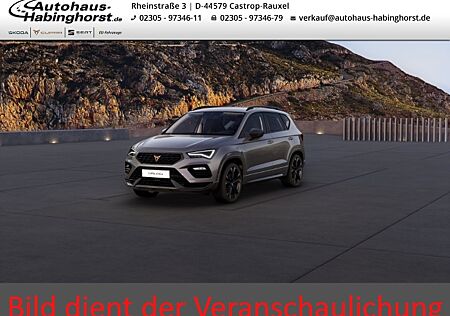 Cupra Ateca 1.5 TSI DSG Kamera Navi Business AHK Full Link Alu19