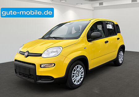 Fiat Panda Pandina Hybrid MY25 70PS