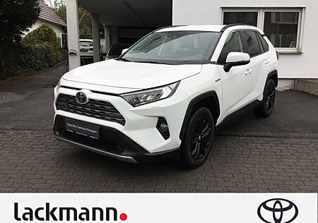 Toyota RAV 4 2.5 Hybrid 4x4 Team D*Technik Paket*Navi*