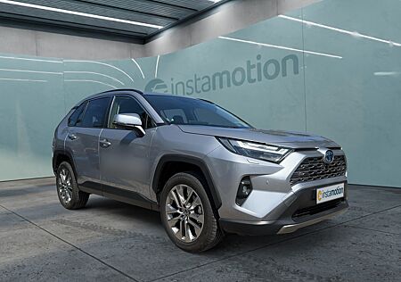 Toyota RAV 4 Hybrid 4x4 Lounge Navi LED MFL BT DAB ZV