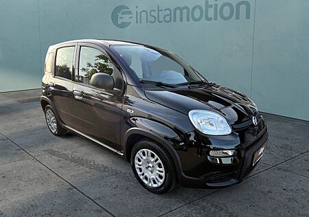 Fiat Panda 1.0 City Paket Klima Bluetooth PDC uvm.