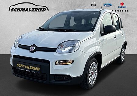 Fiat Panda Base 1.0 Mild Hybrid DAB Klima BT el.SP Spieg. beheizbar teilb.Rücksb eFH RDC Radio