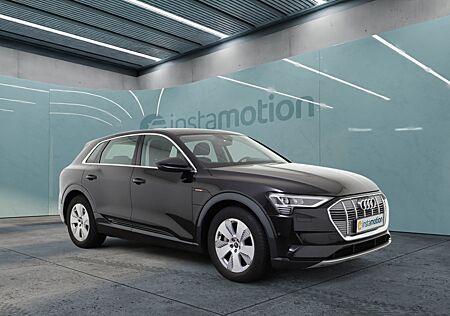 Audi e-tron 55 Q Advanced LED Luft Kamera Navi AHK