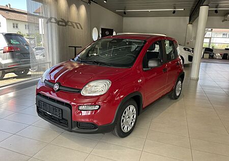 Fiat Panda 1.0 GSE Hybrid (312)