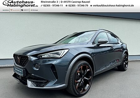 Cupra Formentor 2.0 TSI DSG 4Drive VZ 360 e.Hk ACC LED ParkAssist Navi Kessy