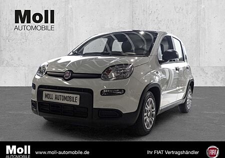 Fiat Panda Mild Hybrid City Paket Gelato Weiß