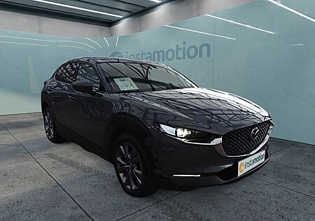 Mazda CX-30 Selection Skyactiv-D Automatik Leder BOS