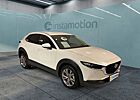 Mazda CX-30 Selection 2.0 Klimaautomatik, Navi, Leder,