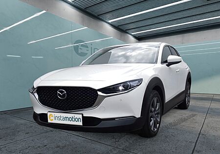 Mazda CX-30 Edition 100 M Hybrid Navi Leder Memory Sitze Soundsystem