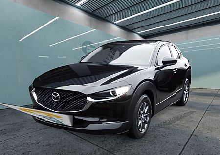 Mazda CX-30 Selection M Hybrid 2.0 SKYACTIV-G HUD Navi LED ACC El. Heckklappe Apple CarPlay