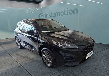 Ford Kuga ST-Line leichter Hagelschaden Bluetooth Navi