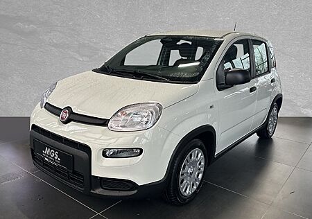 Fiat Panda #WeiÃ #SOFORT #MY24