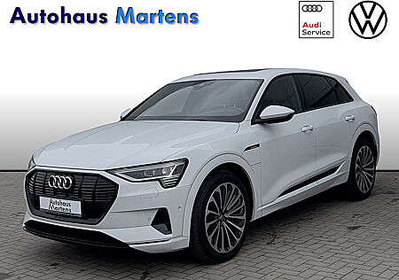 Audi e-tron 55 quattro advanced Klima Navi Leder